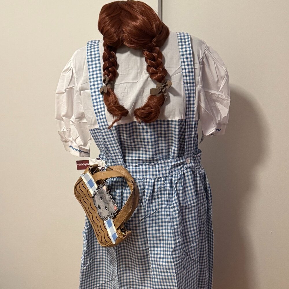 Plus Size Wizard Os Dress, Wig and Bag